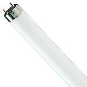 Лампа люмінесцентна Philips G13 15W/54 TLD Standart