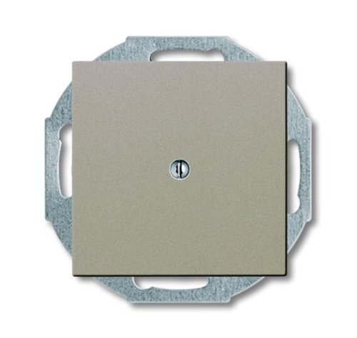 Заглушка ABB Basic55 2538-93-507 шампань 2CKA001715A0314