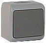 Выключатель 1-кл наруж.Erste Outdoor IP54 E8005-01 сер